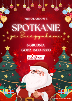 Spotkanie ze Śnieżynkami