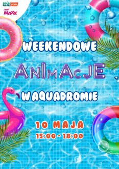 Weekendowe animacje w Aquadromie