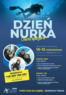 Oferta Specjalna!